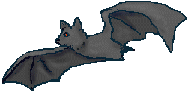 Images - 081